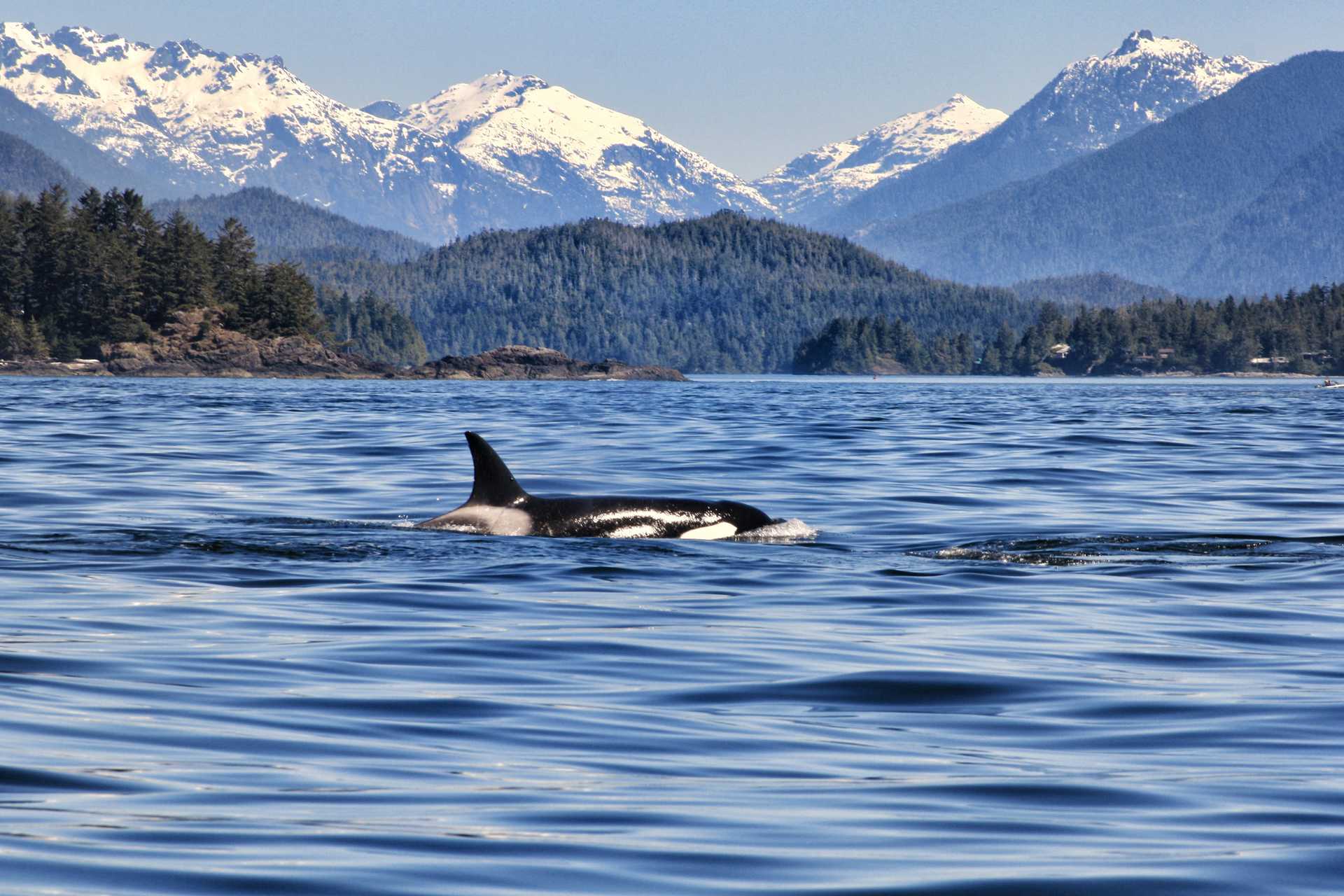 13 Days in British Columbia: Coastal Charms and Wilderness Whims